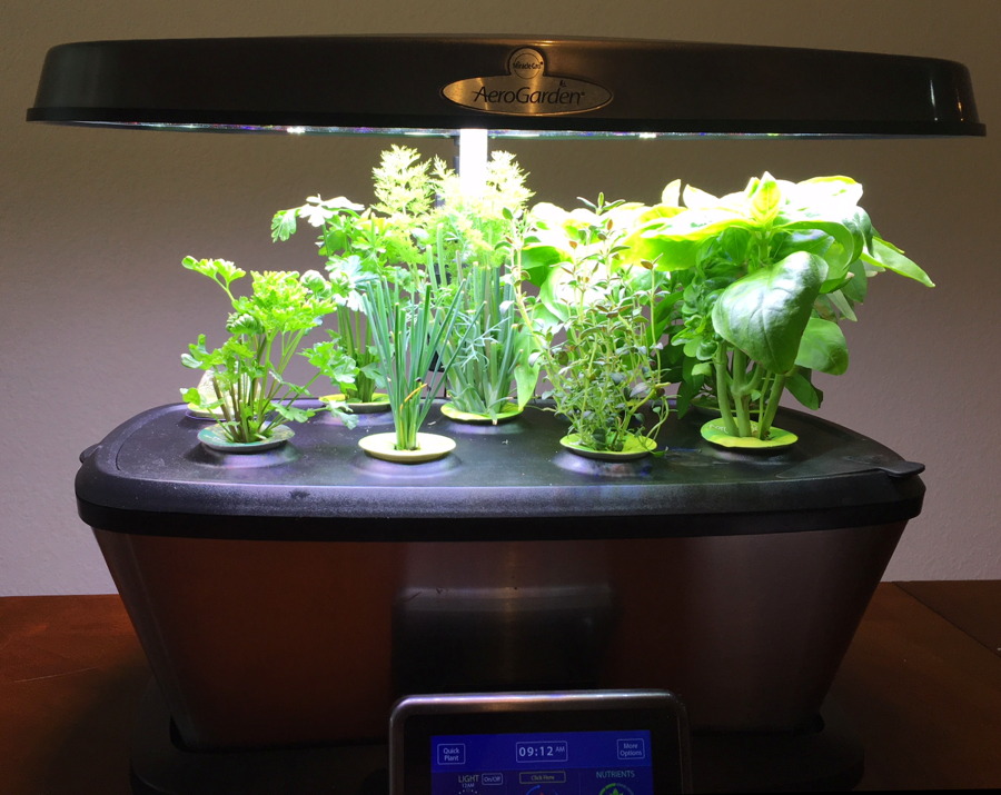 Review Aerogarden Bounty From Miracle Gro Ask Dave Taylor